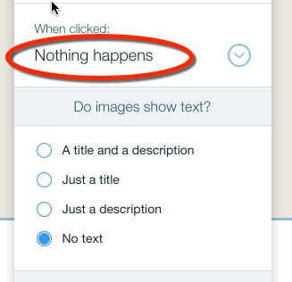 WiX image click option